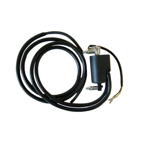 004750 double ignition coil - ignition,